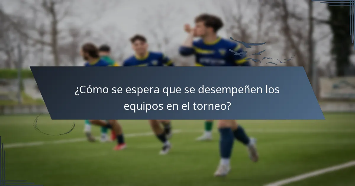 ¿Cómo se espera que se desempeñen los equipos en el torneo?