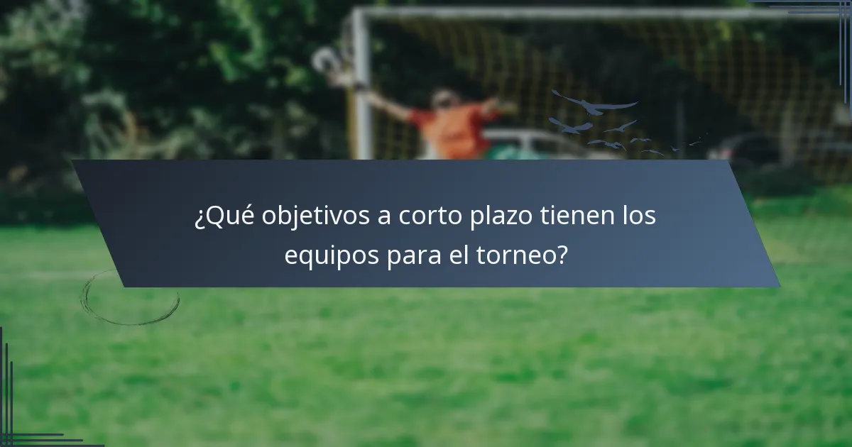 ¿Qué objetivos a corto plazo tienen los equipos para el torneo?